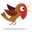 Dr Hoo